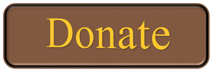 Bethlehem Catholic donation button for Donor Perfect